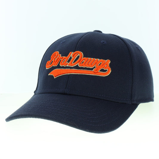 Navy 717x Bird Dawgs Player Hat