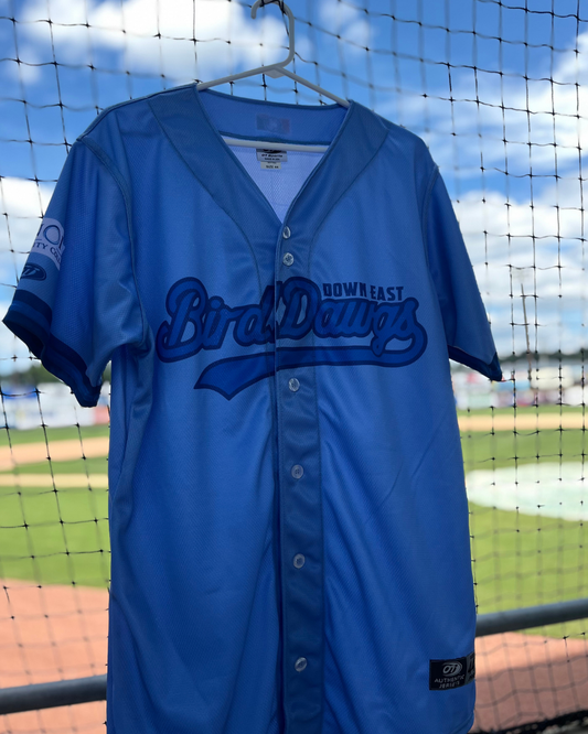 LCC Theme Jersey