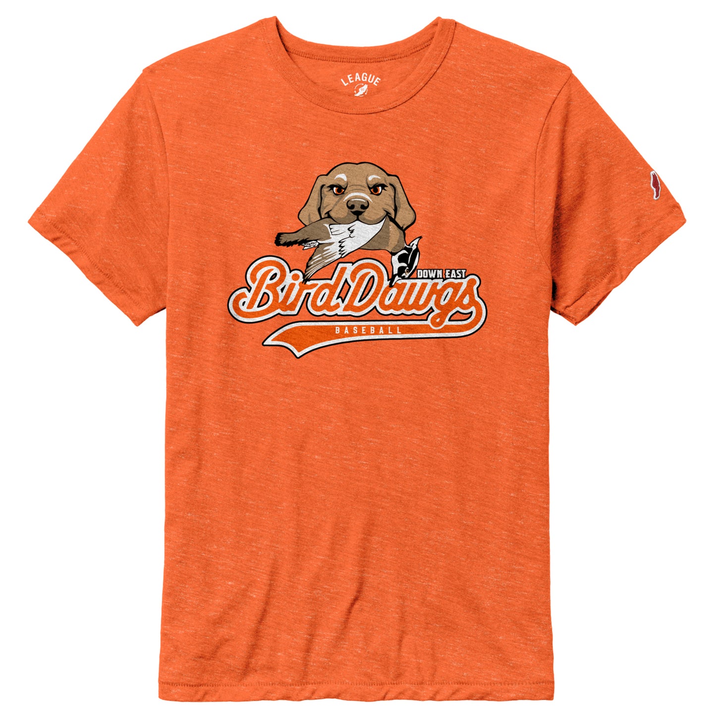 Bird Dawgs Victory Falls tee